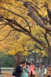 Image 266642932