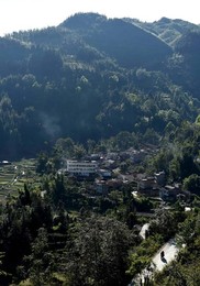 Image 267110587