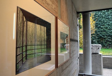 Image 267151459