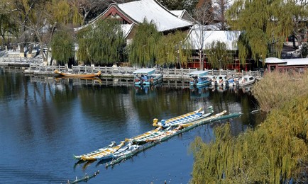 Image 267654003
