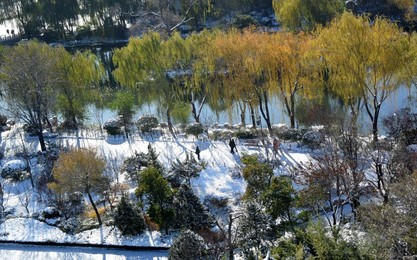 Image 267654012