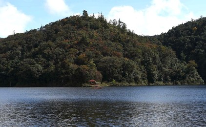 Image 268065160