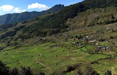 Image 268065162