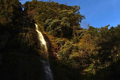 Image 268065168