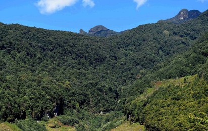 Image 268065170