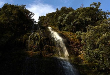Image 268065176
