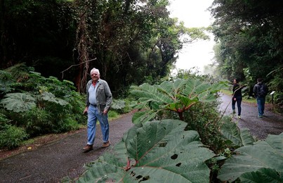 Image 268065178