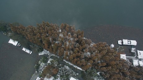 Image 268519995
