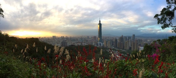Image 268525629