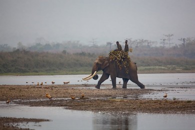 Image 268653344