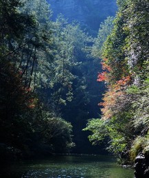 Image 268658178