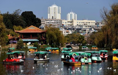 Image 269095232
