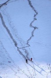 Image 269096687