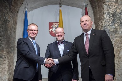 LITHUANIA-VILNIUS-MEETING