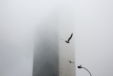 Image 269294738