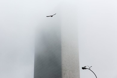 Image 269294762