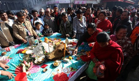 Image 269417634
