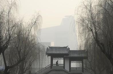 Image 269712421