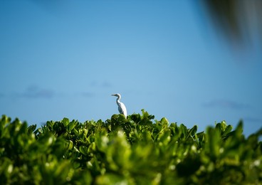 Image 269796063