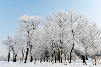 Image 270025304