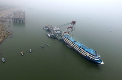 Image 270225053