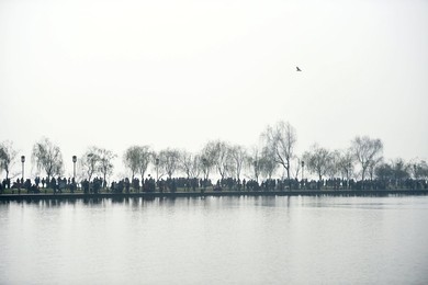 Image 270341390
