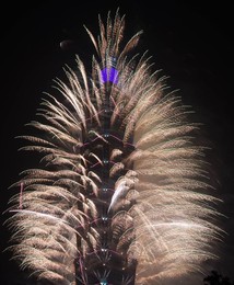 Image 270342714
