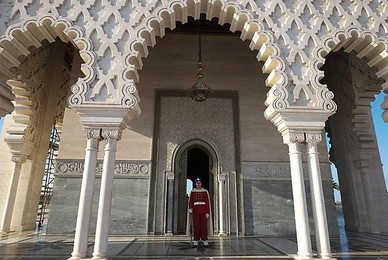 Image 270522158