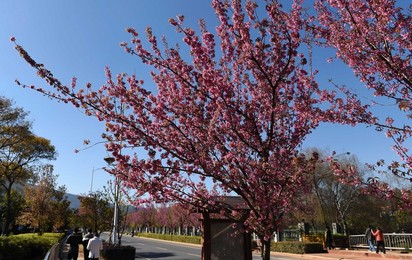 Image 270685505