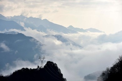Image 270685714