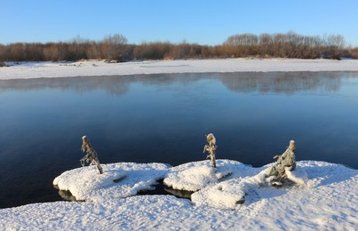 Image 270740601