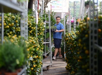 Image 270770998