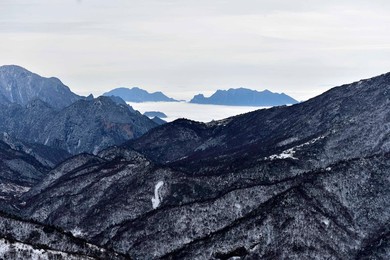 Image 270846728