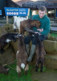 Image 271247104