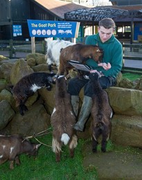 Image 271247211
