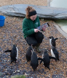 Image 271247264