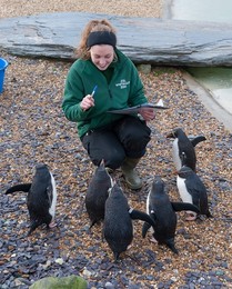 Image 271247685
