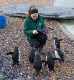 Image 271247687