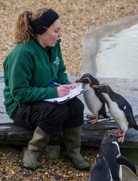Image 271248042