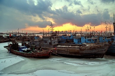 Image 272054987