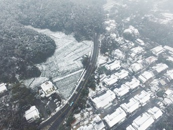 Image 272055176