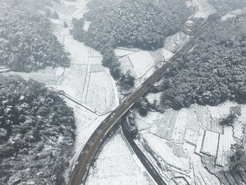 Image 272055178