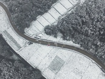 Image 272055182