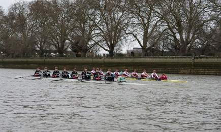 Image 272858454