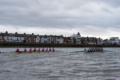 Image 272858459