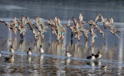 Image 272888090
