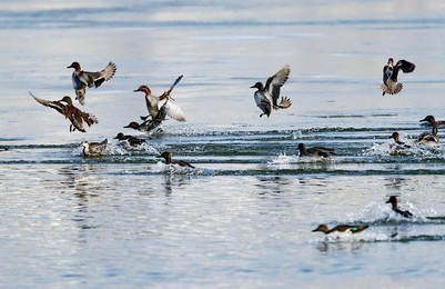 Image 272888092