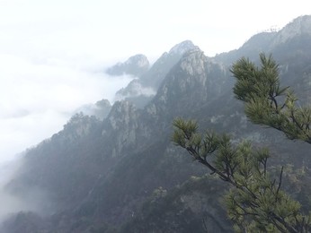 Image 273771175