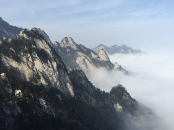 Image 273771181