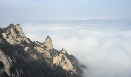 Image 273771182